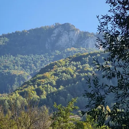 Dom wakacyjny Casa Rei Vidolm